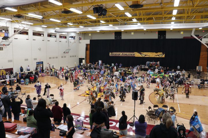 A large gymnasium is filled with participants dressed in colorful traditional regalia for a powwow. Spectators watch from the bleachers as dancers move in a circular formation on the court. A banner reading 'Cougar Athletics' hangs in the background.